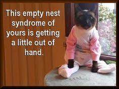 Definitions by the largest idiom dictionary. 17 Best Empty Nest Humor Ideas Humor Empty Nest Empty Nest Humor