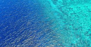 Последние твиты от oean (@helpmelogout). Ocean Colour