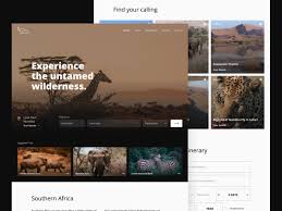 New African Frontiers Web Design In 2020 Booking Website Safari Africa Photography