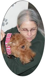 AIREDALES ON PARADE/SPOTLIGHT ON RESCUE