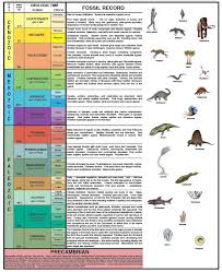 Geological Time Chart