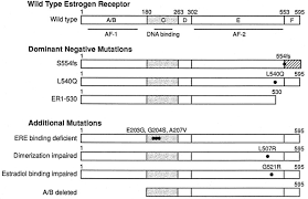 Jul 09, 2021 · antileukotrienes for the prevention and treatment of chronic lung disease in very preterm newborns: Analysis Of Mechanisms That Determine Dominant Negative Estrogen Receptor Effectiveness Journal Of Biological Chemistry