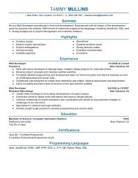 Web Developer Resume Examples Created By Pros Myperfectresume