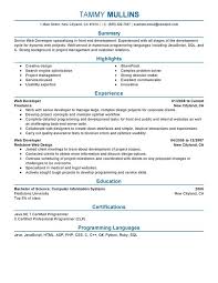 Take your tech career to the next level with a great resume. Web Developer Resume Examples Created By Pros Myperfectresume