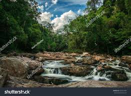 Home to more than 9 beaches and a the national parks in malaysia are essential for the ecosystem and have been preserved beautifully. Unaffected River In The Jungle Taman Negara National Park In Malaysia Sponsored Affiliate Jungl National Parks National Parks Trip Most Beautiful Places
