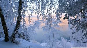 See the best winter backgrounds download free for desktop collection. Free Download Beautiful Winter Frost Wallpaper 1920x1080 Beautiful Winter Frost 1920x1080 For Your Desktop Mobile Tablet Explore 74 Pretty Winter Backgrounds Pretty Winter Wallpapers Pretty Winter Backgrounds Background Pretty
