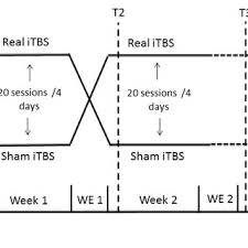 Flow Chart Of The Experimental Itbs Treatment Procedure