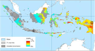 A test of one's eyesight; Randomized Trial Of Primaquine Hypnozoitocidal Efficacy When Administered With Artemisinin Combined Blood Schizontocides For Radical Cure Of Plasmodium Vivax In Indonesia Bmc Medicine Full Text