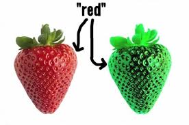 Is Your Red The Same As My Red Perception Creative Tutorials Color