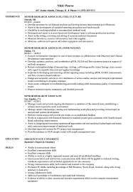 Clinical Research Associate Cv Sample Best Resume Examples