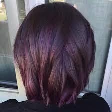 Nowadays, violet hair is one of the most on trend alternative hair colours which has been splashed through the media by a variety of celebs and personalities. Midnight Rose Dark Purple Dark Violet Hair Color With Oxidizing 6 66 Damson Fashion Hair Color Permanent Hair Color Set Lazada Ph