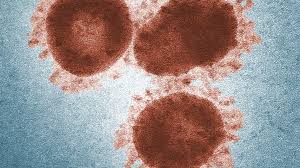Get the latest information on vaccines in development and the distribution across texas. Die Vermehrung Von Sars Coronavirus 2 Im Menschen Verhindern Deutsches Zentrum Fur Infektionsforschung