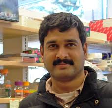 New people: Research Fellow Association leadership team: