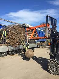 We did not find results for: Dre Forklift Jib Extension Working At A Garden Center In Wicklow Unloading A Load Of Trees From Dre Steel Fabrication And Testing Certifying Lifting Equipment Facebook