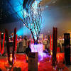 Here you will find wholesale prom decorations for the top 15 prom party ideas of the year. 3