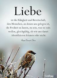Gute Zitate Herz Leben Zitate