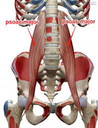 Pin On Stretches And Yoga