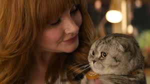 ARGYLLE — film summary & review