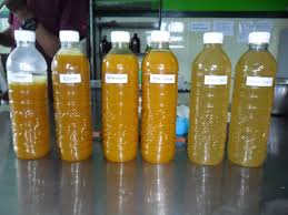 Minuman herbal khas indonesia ini, biasa dikemas dalam bentuk botol beling, menggantikan jamu gendong yang biasa dijajakan para penjual jamu gendong. Jamu Tradisional Botolan