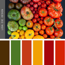 Tomato Theme Color Palettes In 2019 Color Colour
