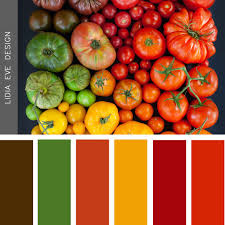 tomato theme color palettes in 2019 color colour