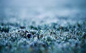 Frost Wallpaper 1 By Pavel89l On Deviantart Search free screen frost wallpapers on zedge and personalize your phone to suit you. deviantart