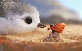Bird From Finding Dory A Look At Oscar Nominees For Live Action Animated Short Films Pixar Shorts Disney Pixar Piper Pixar
