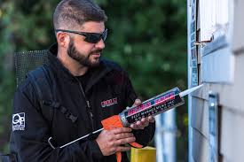 When bugs and other pests make their way into rental properties, it can cause conflict between tenants and landlords as to who is responsible for pest control. Top Rated Rodent Removal Exterminator Mice And Rats Pest Proofing