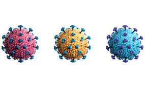 But how do these variants occur and what makes some more contagious than others? Covid 19 Latest Variants Types And Ways To Stay Safe Healthxchange