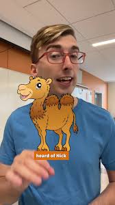 Nick The Camelnate A Clam Supper in Phoenix