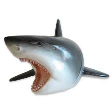 Small Great White Shark Head Life Size Statue Shark Sculpture Great White Shark Attack Shark Head
