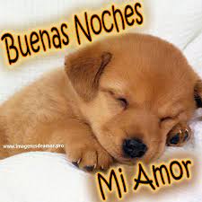 Imagenes Buscar Con Google Buonanotte