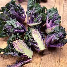 A 1½ cup serving (85 grams) has 120% of your daily vitamin k and 40% of vitamin c. Flower Sprout Bunte Pfluck Roschen Weiteres Gemuse Sortiment Gemusepflanzen Gemuse Ahrens Sieberz Pflanzenversand Gartenbedarf