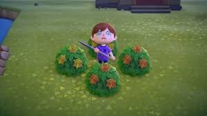 Acnh Bushes Shrubs Hedge How To Get Animal Crossing Gamewith