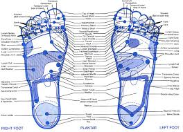 31 Printable Foot Reflexology Charts Maps Template Lab