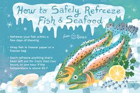 How long can i freeze fish before cleaning them? Can You Refreeze Fish Safely