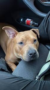 Reel by Alan Mcmaster (@alan.86._04) · December 13, 2025