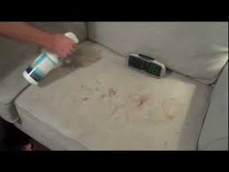 Wipe the whole couch down with a clean, dry microfiber cloth. Mypetpeed Com My Pet Peed Removing Blood Stain From Tan Couch Youtube
