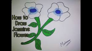 Use overlapping u shaped lines to form the petals of the bloom. How To Draw Jasmine Flower For Beginners Easy Youtube