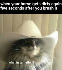 30 Red Dead Redemption 2 Memes Viral Stories Funny Cat Memes Funny Animal Pictures Funny Animal Memes