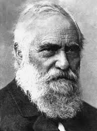 Verrückte Selbstversuche