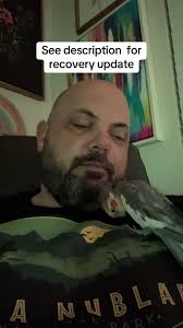 Harley the Hyacinth Macaw: A Rescue Bird's Journey