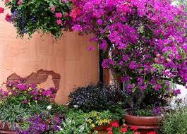 Tuscan Mediterranean Floral Wall Mediterranean Garden Mediterranean Garden Design Plants