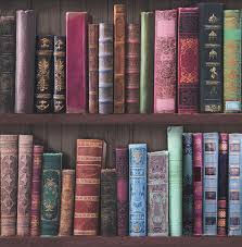 ❤ get the best blue backgrounds on wallpaperset. Graham Brown Book Shelf 33 X 20 5 Wallpaper Roll Reviews Wayfair