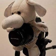 Camera Lens Pal Tutorial Camera Lens Diy Camera Lens
