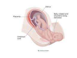 How many cm dilated is too late for an epidural? What Are The Stages Of Labor And Delivery Babycenter