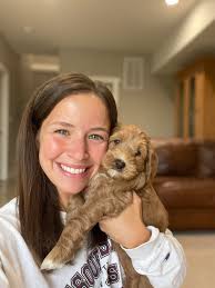 Davis Farms Australian Labradoodles
