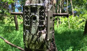 As opposed to other wireless trail cameras, cellular trail cameras can be placed anywhere there's a good (3 bars+) at&t or verizon signal. Moultrie Mobile Cellular Camera Remote Scouting Made Simple