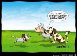 Wo Die Liebe Hinfallt Peanuts Cartoon Comics Funny