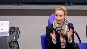 Mit einem begabtenstipendium abgeschlossen habe. Alice Weidel Afd Lahmungserscheinungen Politikerin Kann Wohnung Nicht Verlassen Politik